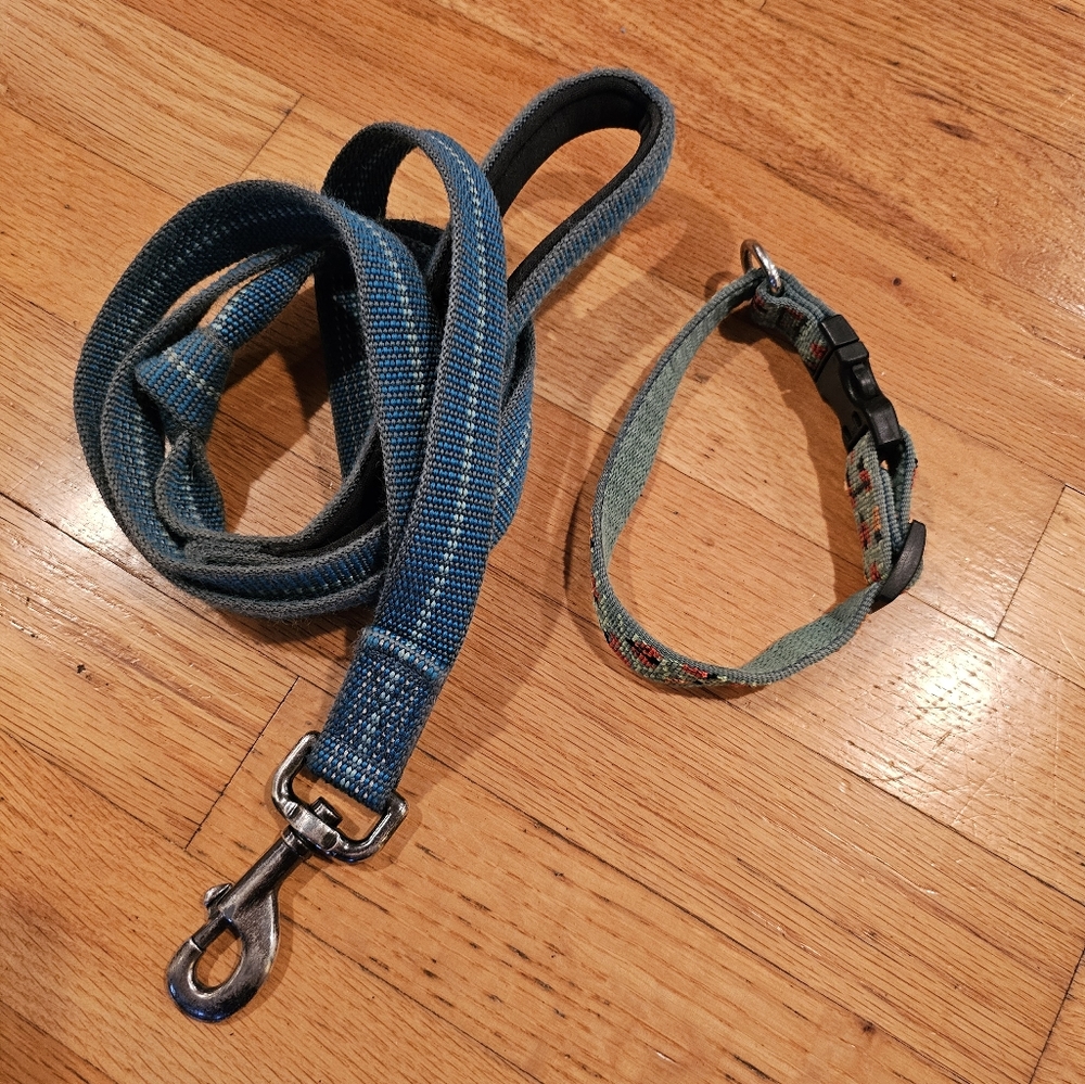 Heavy duty dog leash and ladybug collar